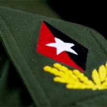 Fidel Vive Fidel Vive