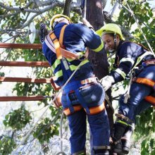 “Arriesgada”, como ella misma se define, a esta cubana de poco más de 1.60 metros de estatura no le gusta trabajar desde el suelo, sino desde lo alto. Foto: Anaray Lorenzo/Bohemia. “Arriesgada”, como ella misma se define, a esta cubana de poco más de 1.60 metros de estatura no le gusta trabajar desde el suelo, sino desde lo alto. Foto: Anaray Lorenzo/Bohemia.