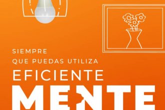 Siempre que puedas utiliza eficienteMENTE bombillos LED en tu hogar